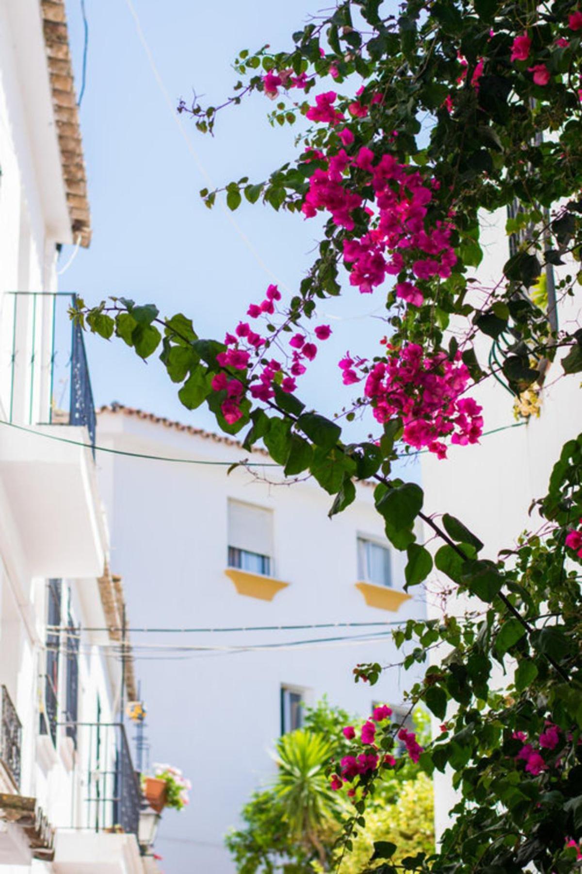 Superior 3Br Golfla Apartment Minutes From Puerto Banus & Marbella マラガ エクステリア 写真