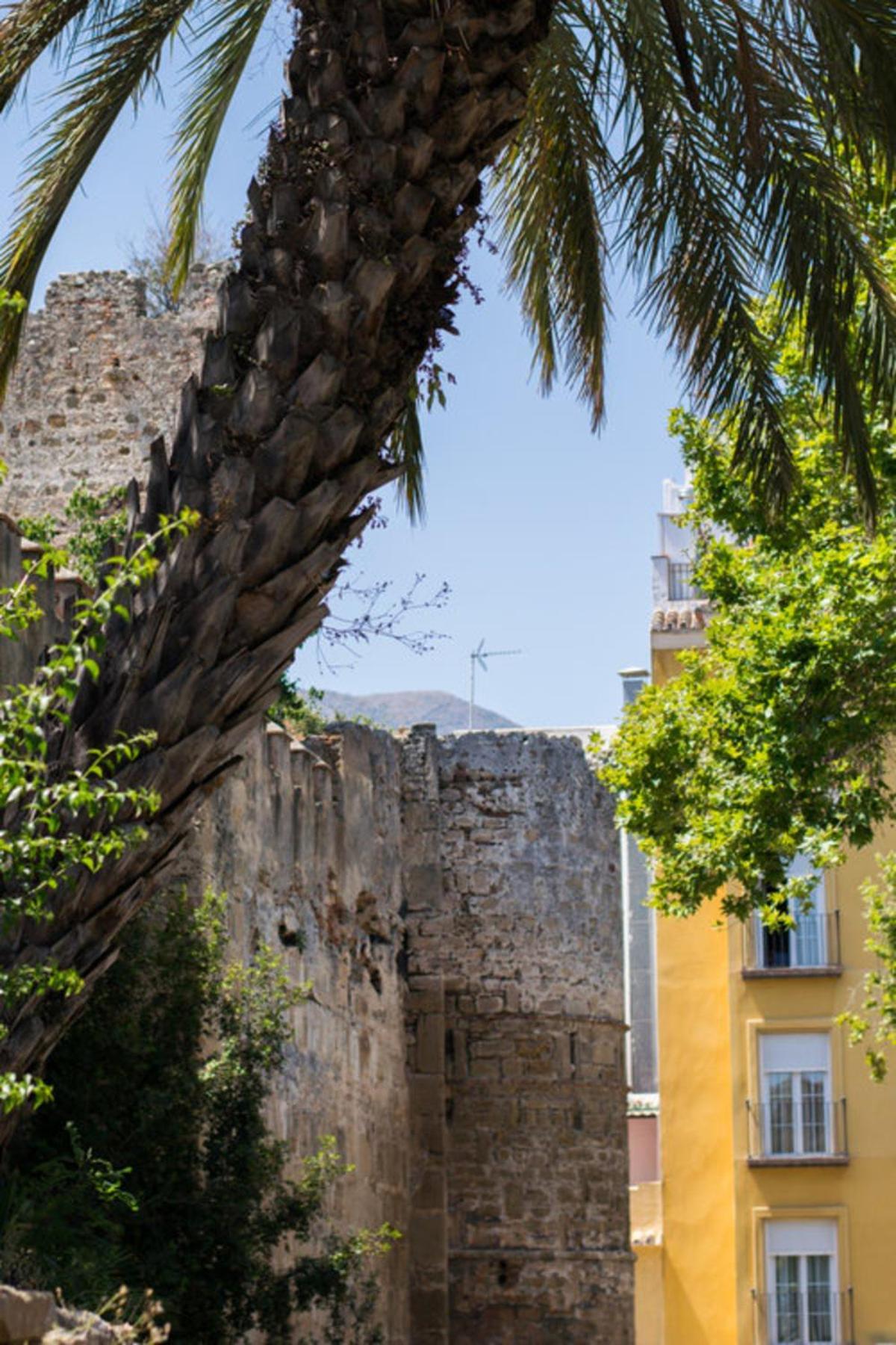 Superior 3Br Golfla Apartment Minutes From Puerto Banus & Marbella マラガ エクステリア 写真